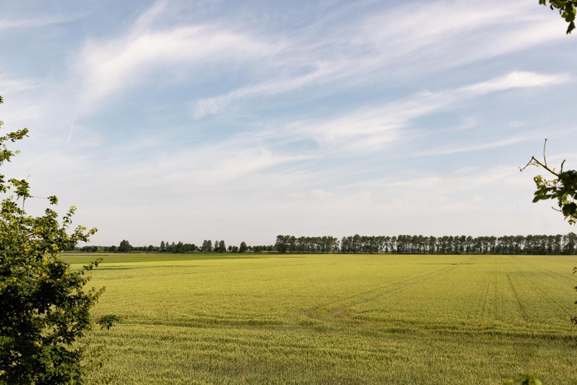 Hof Van Maldegem Kortgene Eksteriør bilde